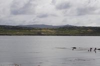 
DSC00084
